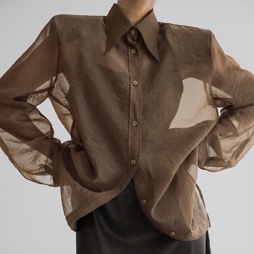 temperament sexy mesh see through long sleeved women's shirt high end loose top for women temperament sexy mesh see through long sleeved women's shirt high end loose top for women